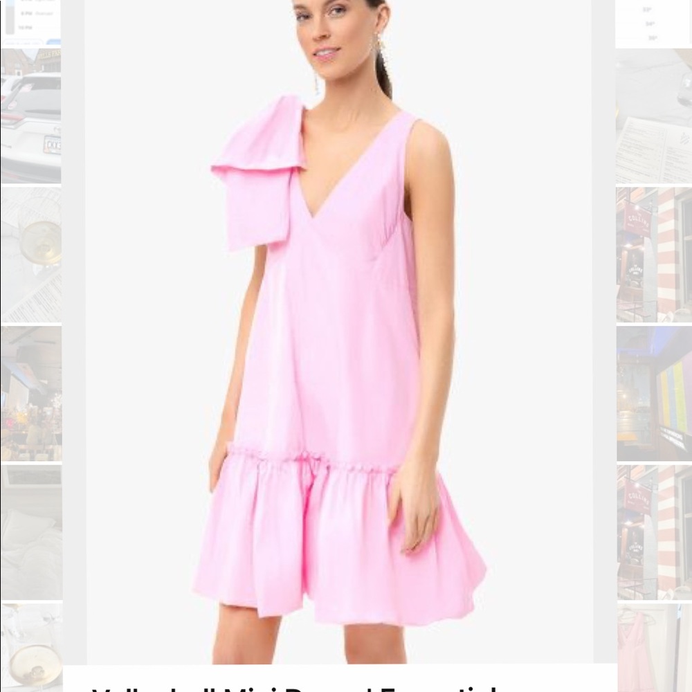 Tuckernuck Essential Antwerp Pink Dress XS